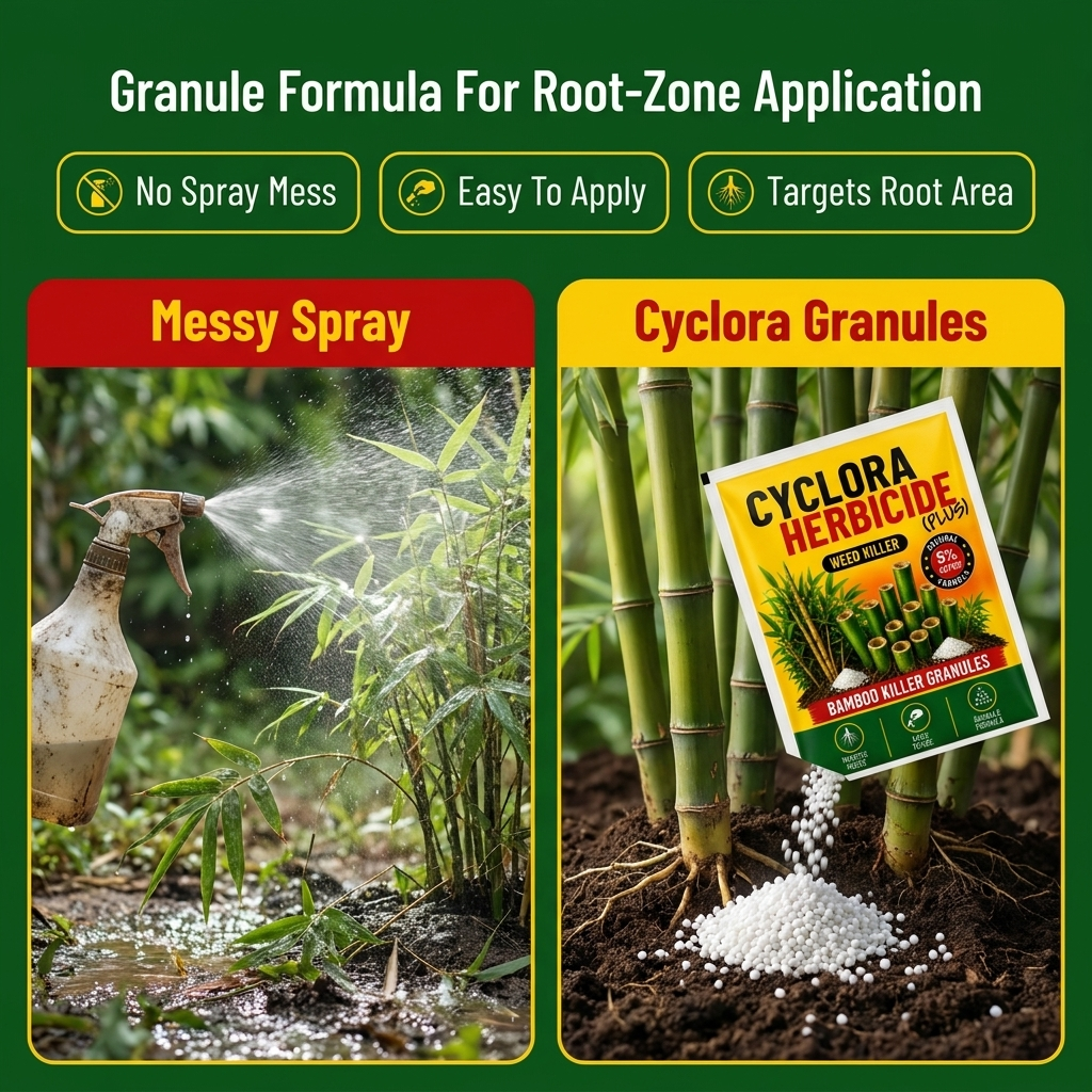 Cyclora Herbicide Granules | 🔥BUY 1 GET 1 FREE🔥